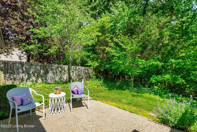 16812 Summit Vista Way, Louisville, KY 40245 - photo 21