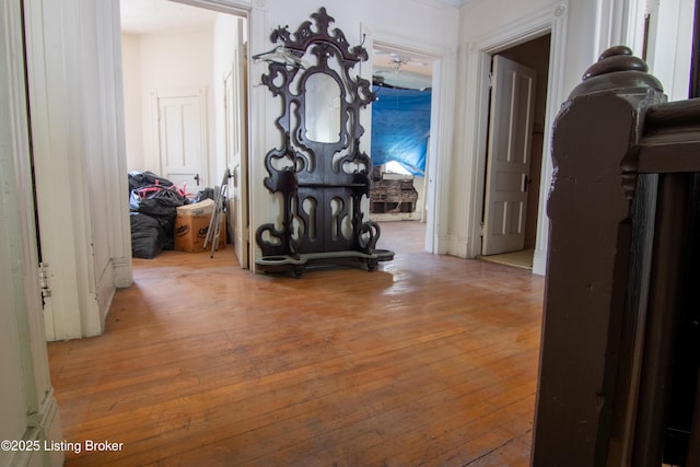 2511 W Chestnut St, Louisville, KY 40211 - corridor featuring hardwood / wood-style flooring