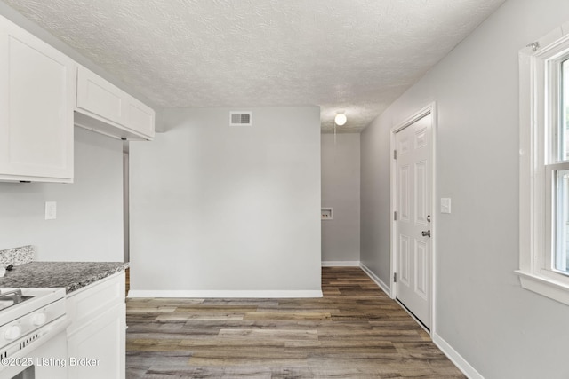 1037 Kaiser Ct, Louisville, KY 40211 - kitchen with dark wood-style flooring, white cabinetry, plenty of natural light, a textured ceiling, and light stone countertops