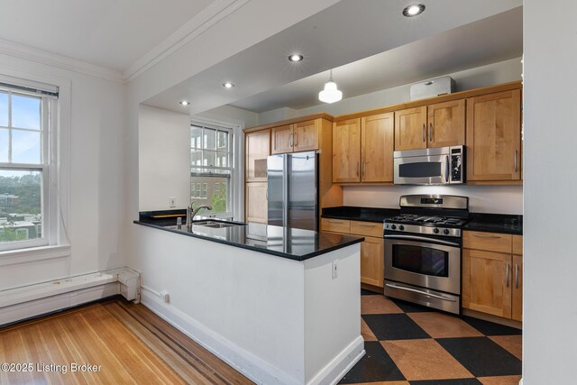 1412 Willow Ave Unit 69, Louisville, KY 40204 - kitchen featuring stainless steel appliances, crown molding, dark countertops, a peninsula, and dark floors