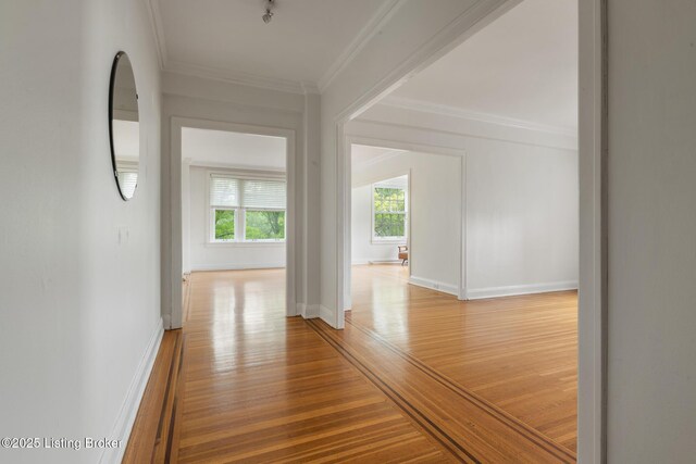 1412 Willow Ave Unit 69, Louisville, KY 40204 - corridor featuring wood finished floors, crown molding, and baseboards