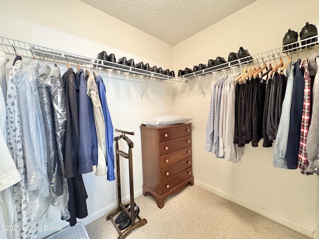 10923 Collington Dr, Louisville, KY 40241 - walk in closet with carpet