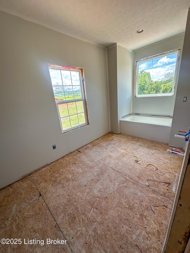 165 Gordon Dr, Ekron, KY 40117 - unfurnished room featuring plenty of natural light and a textured ceiling