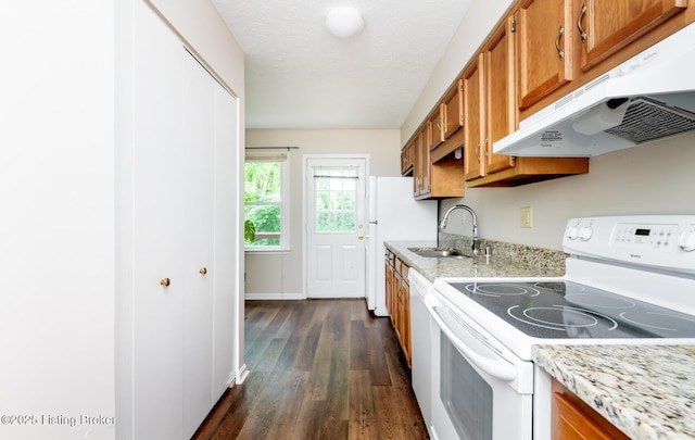 10600 Colonial Woods Way Unit 9-1, Louisville, KY 40223 - kitchen with white appliances, under cabinet range hood, a sink, brown cabinets, and dark wood-style floors