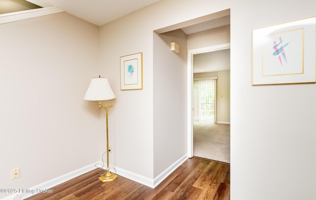 10600 Colonial Woods Way Unit 9-1, Louisville, KY 40223 - hall featuring wood finished floors and baseboards