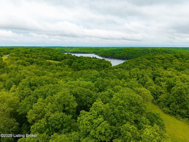 384 Lakeview Dr, Bloomfield, KY 40008 - photo 51