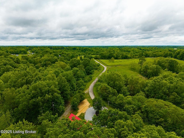 384 Lakeview Dr, Bloomfield, KY 40008 - photo 46