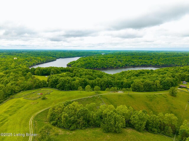 384 Lakeview Dr, Bloomfield, KY 40008 - photo 52
