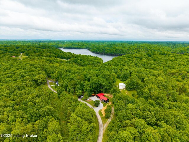 384 Lakeview Dr, Bloomfield, KY 40008 - photo 44