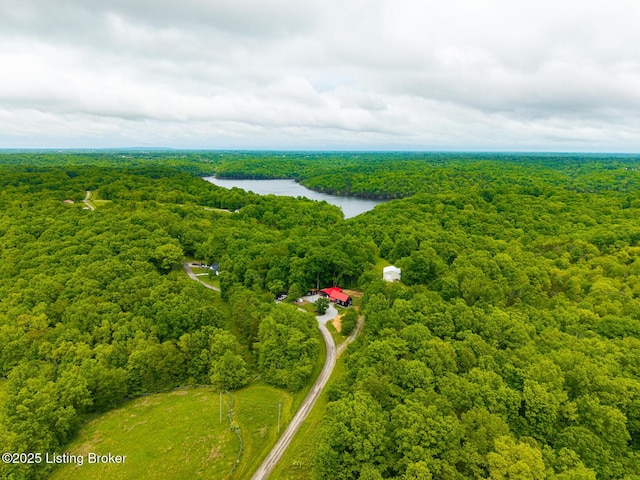 384 Lakeview Dr, Bloomfield, KY 40008 - photo 48