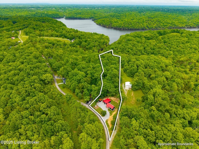 384 Lakeview Dr, Bloomfield, KY 40008 - photo 49
