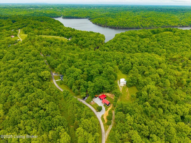 384 Lakeview Dr, Bloomfield, KY 40008 - photo 50