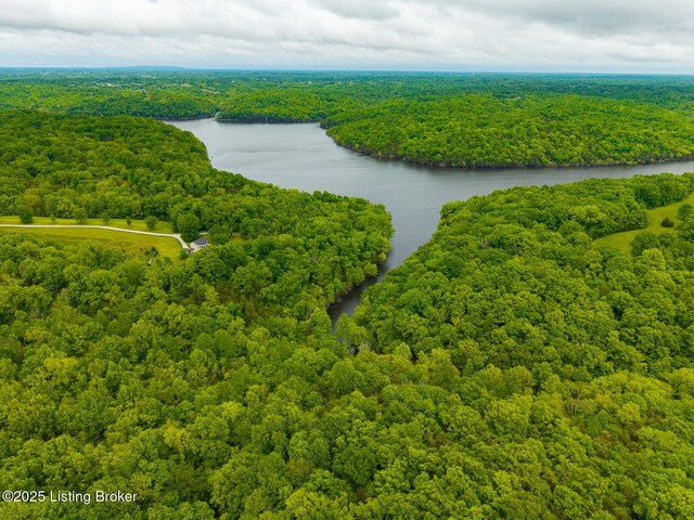 384 Lakeview Dr, Bloomfield, KY 40008 - photo 53