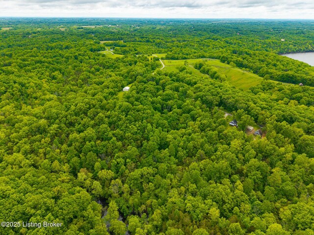 384 Lakeview Dr, Bloomfield, KY 40008 - photo 55