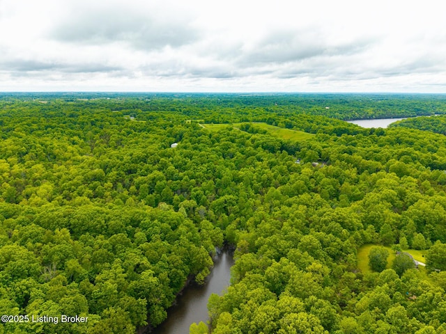 384 Lakeview Dr, Bloomfield, KY 40008 - photo 57