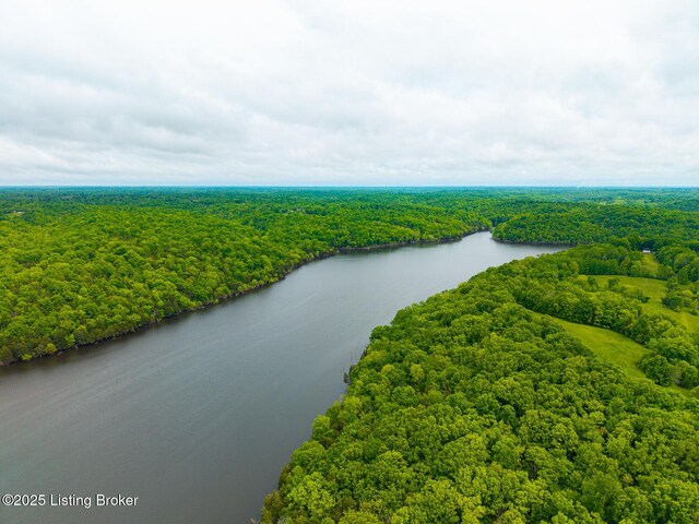 384 Lakeview Dr, Bloomfield, KY 40008 - photo 58
