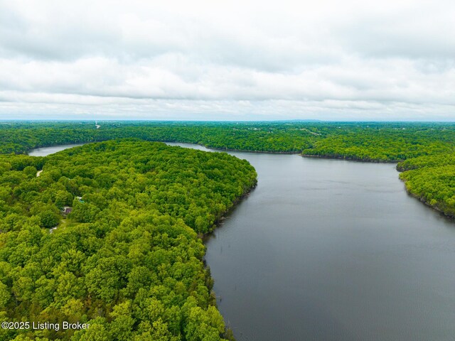 384 Lakeview Dr, Bloomfield, KY 40008 - photo 59