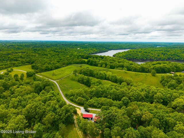 384 Lakeview Dr, Bloomfield, KY 40008 - photo 45