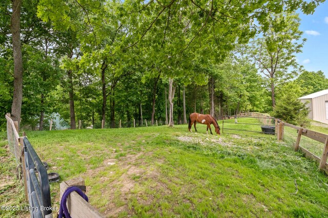 384 Lakeview Dr, Bloomfield, KY 40008 - photo 36