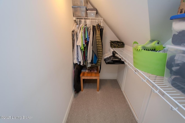 18705 Weymuth Ln, Louisville, KY 40245 - walk in closet with light colored carpet