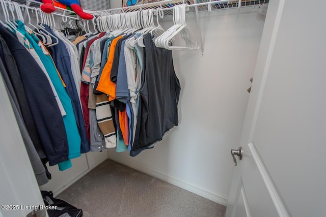 18705 Weymuth Ln, Louisville, KY 40245 - walk in closet featuring carpet flooring