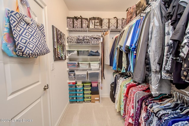 18705 Weymuth Ln, Louisville, KY 40245 - spacious closet with carpet
