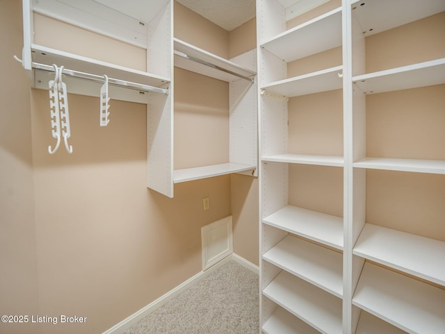 7906 Tuckaway Ct, Louisville, KY 40291 - spacious closet with carpet floors
