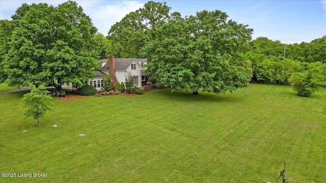 view of green lawn