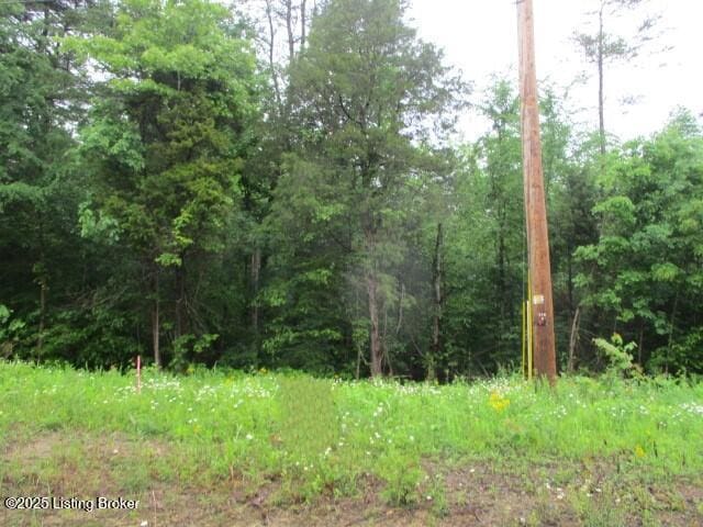 LOTS18 Brier Creek Rd, Mammoth Cave, KY 42259