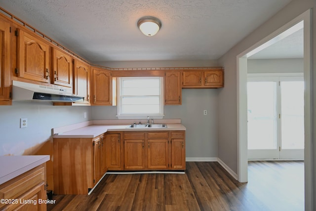 4433 Malcolm Rd, Louisville, KY 40216 - kitchen with under cabinet range hood, a sink, dark wood-style flooring, brown cabinetry, and light countertops