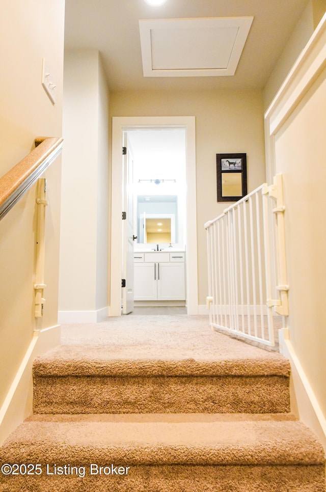 9206 Fox Chase Rd, Louisville, KY 40228 - stairway featuring carpet floors