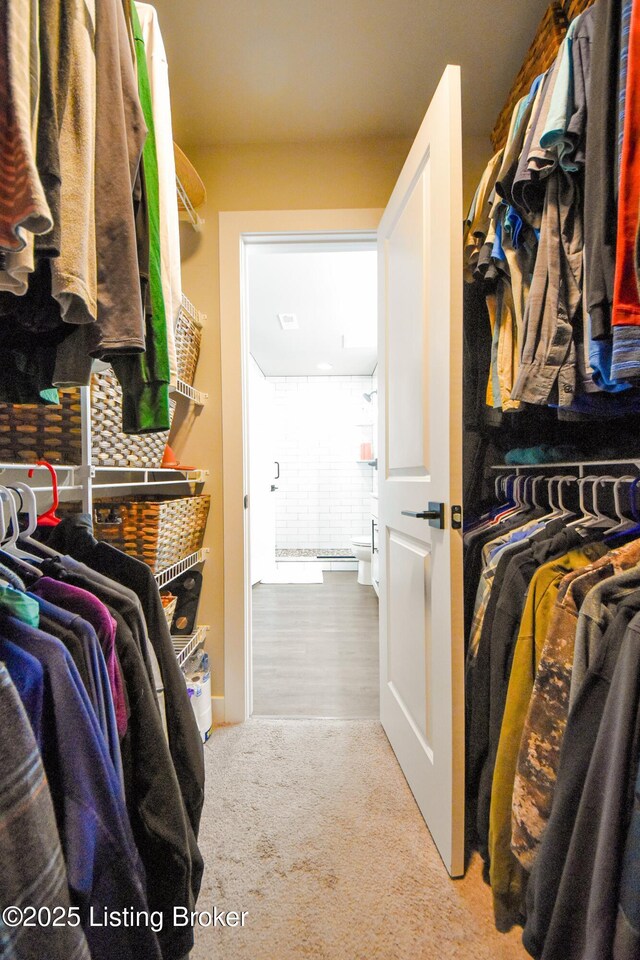 9206 Fox Chase Rd, Louisville, KY 40228 - spacious closet with carpet flooring