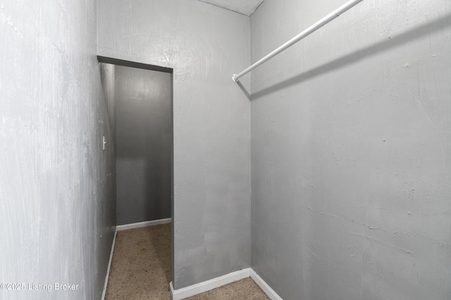 267 Stellar Dr, Shepherdsville, KY 40165 - view of spacious closet