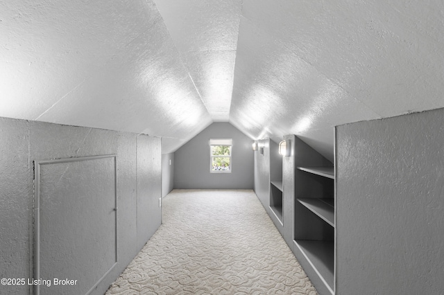 267 Stellar Dr, Shepherdsville, KY 40165 - additional living space with a textured ceiling, vaulted ceiling, carpet, and built in shelves