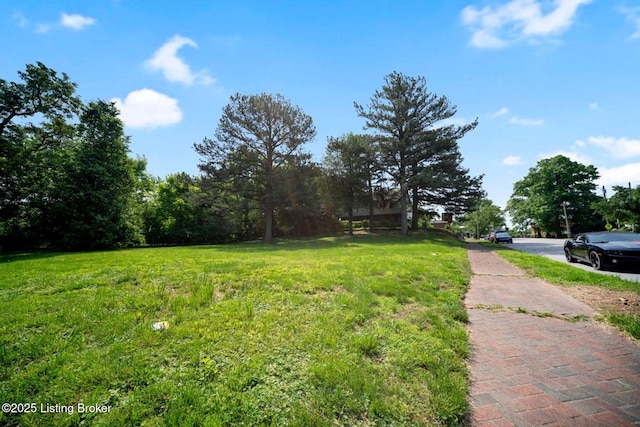717 N 34th St, Louisville, KY 40212 - photo 29