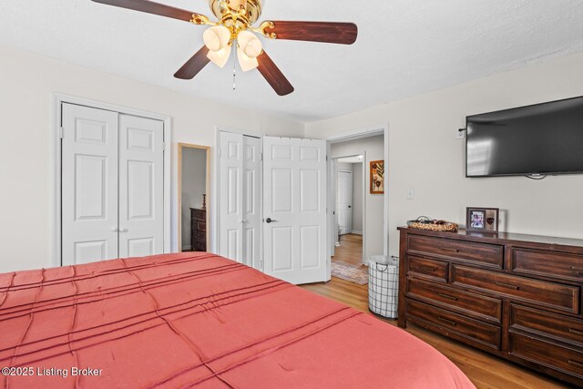 224 Murphy Ln, Bloomfield, KY 40008 - bedroom with light wood-style flooring, two closets, and ceiling fan