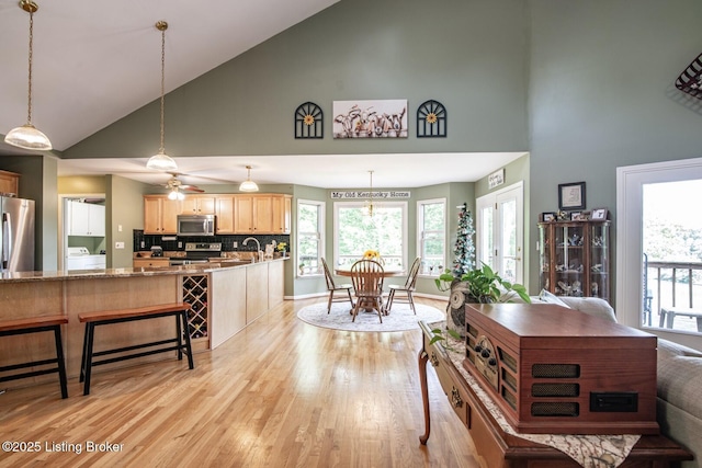 79 Ivy Ct, Brandenburg, KY 40108 - living area with high vaulted ceiling, light wood-style flooring, plenty of natural light, washer / clothes dryer, and ceiling fan