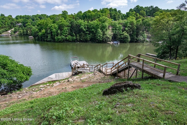 79 Ivy Ct, Brandenburg, KY 40108 - dock with a water view and a wooded view
