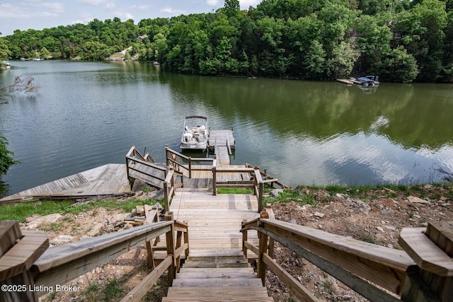 79 Ivy Ct, Brandenburg, KY 40108 - dock area featuring a water view, a view of trees, and boat lift