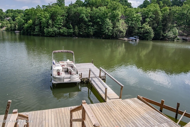 79 Ivy Ct, Brandenburg, KY 40108 - dock area with a water view and a view of trees