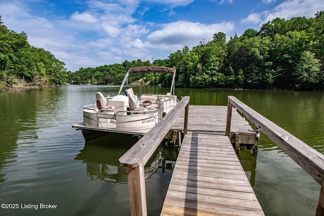 79 Ivy Ct, Brandenburg, KY 40108 - dock area featuring a water view and a wooded view