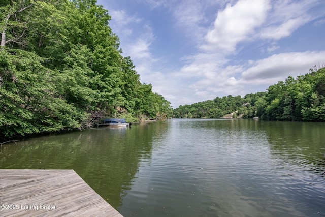 79 Ivy Ct, Brandenburg, KY 40108 - dock area with a view of trees and a water view