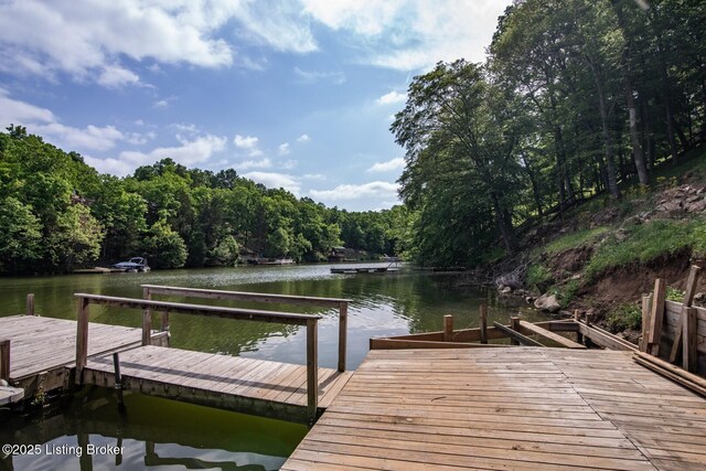 79 Ivy Ct, Brandenburg, KY 40108 - dock with a water view and a wooded view