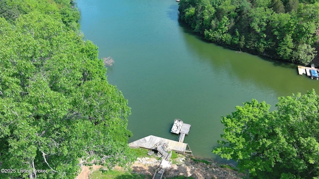 79 Ivy Ct, Brandenburg, KY 40108 - aerial view of property and surrounding area with a large body of water