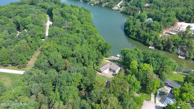 79 Ivy Ct, Brandenburg, KY 40108 - aerial view of property's location featuring a nearby body of water and a forest