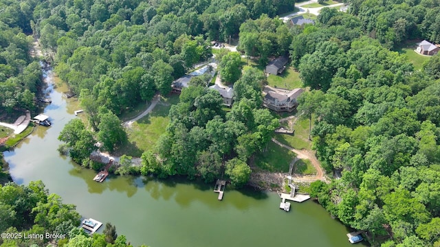 79 Ivy Ct, Brandenburg, KY 40108 - aerial view of property's location with a large body of water and a heavily wooded area
