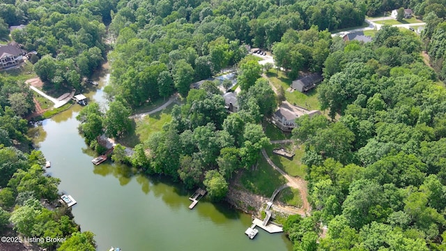 79 Ivy Ct, Brandenburg, KY 40108 - aerial view of property's location featuring a large body of water