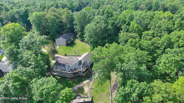 79 Ivy Ct, Brandenburg, KY 40108 - aerial overview of property's location with a forest