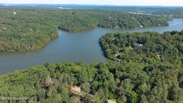 79 Ivy Ct, Brandenburg, KY 40108 - aerial overview of property's location with a forest and a nearby body of water