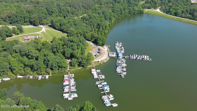 79 Ivy Ct, Brandenburg, KY 40108 - view of property location featuring a forest and a large body of water